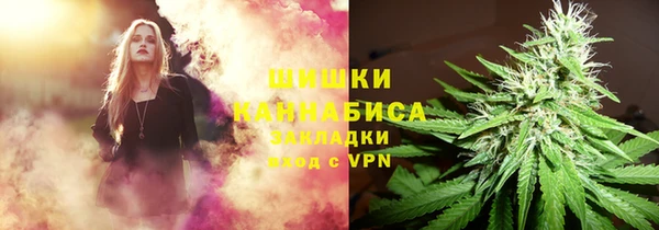 крисы Армянск