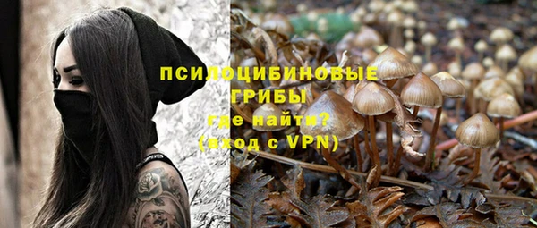 крисы Армянск